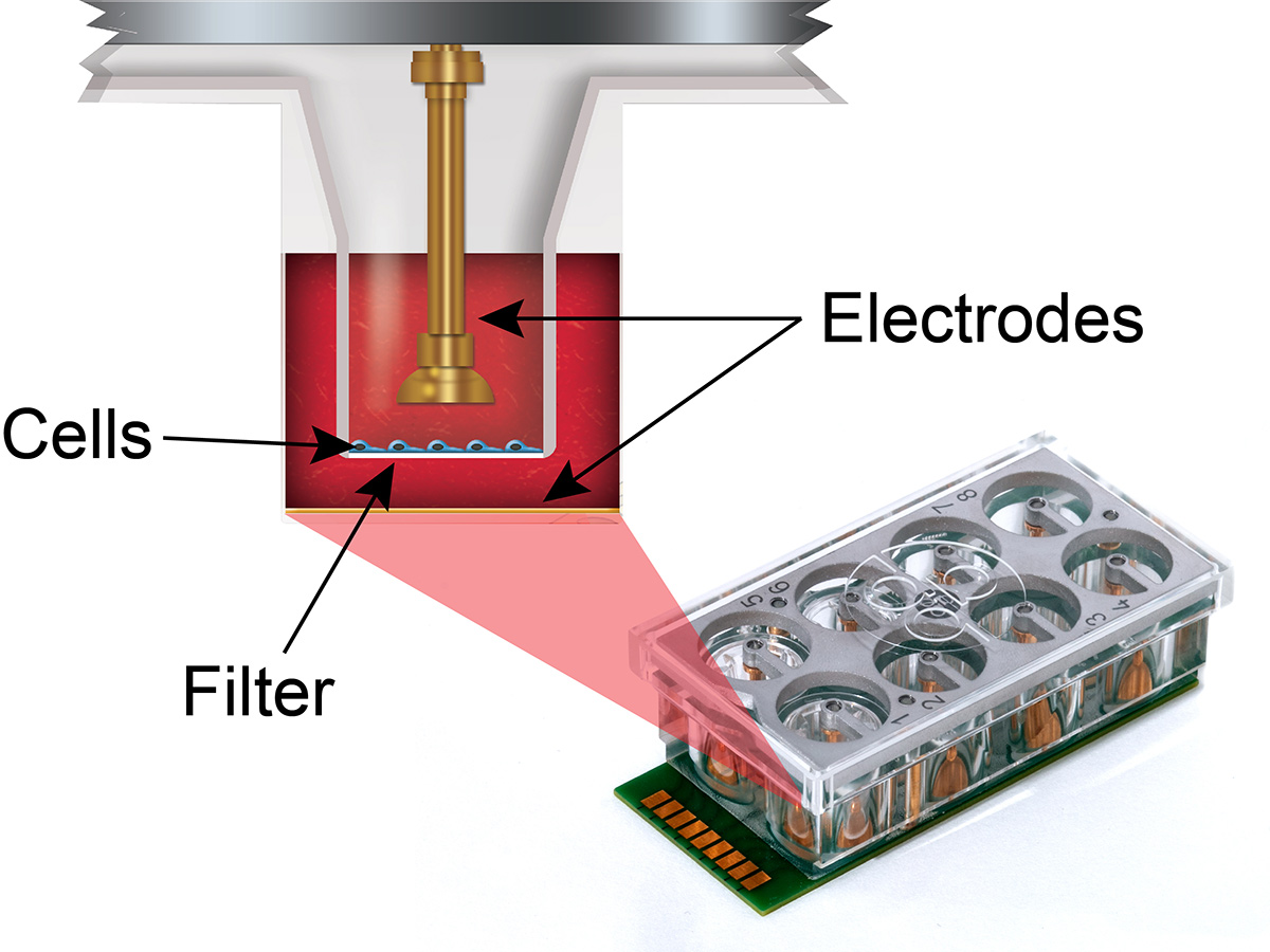 8wtfa Diagram Labeled