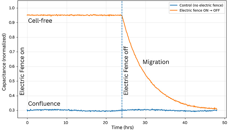 AI Electric Fence Simulation Graph