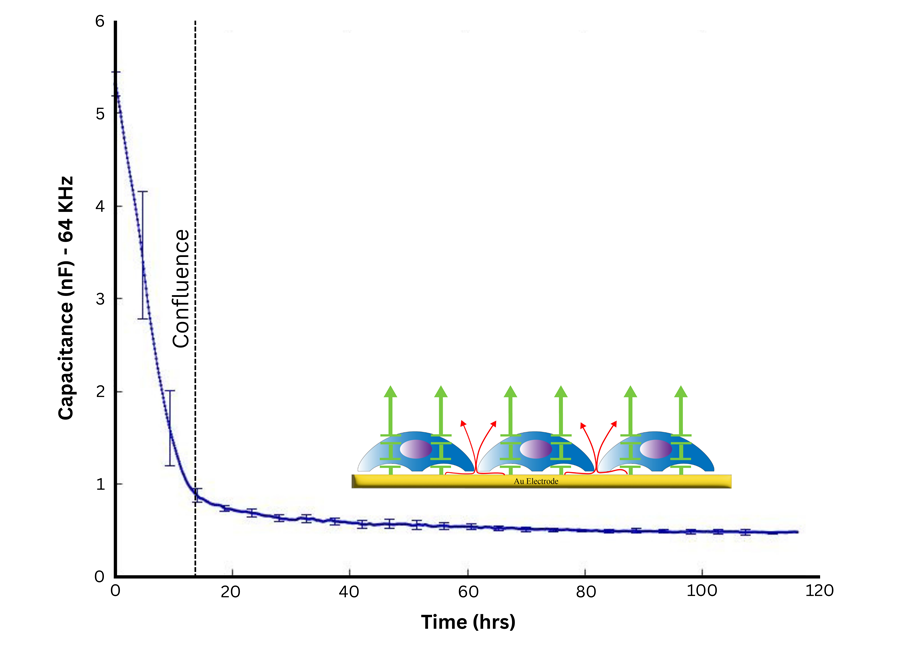 Capacitance What Is ECIS