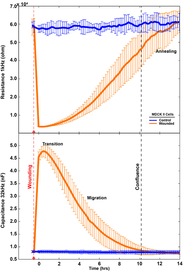 Wounding Transition Migration Annealing