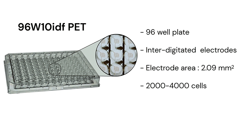Barrier Function Arrays