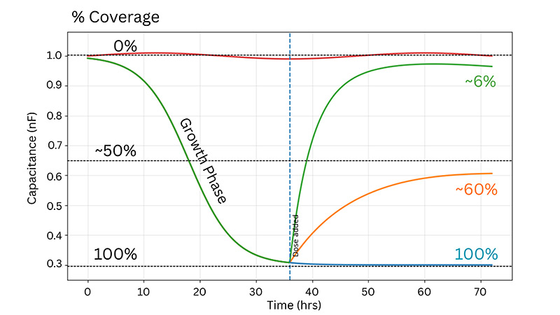 Cytotoxicity Graph With Dose Response Model