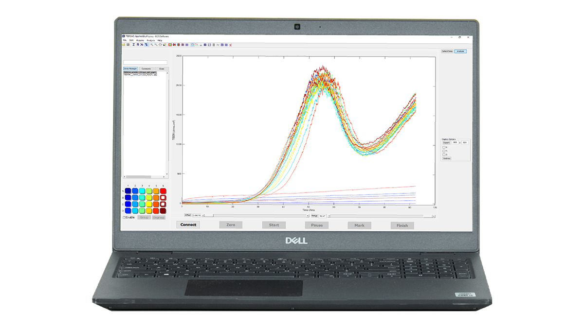 Easy-to-use Software