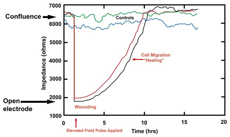 Migration Graph